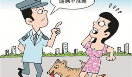 绳罚漫画,绳罚漫画背后的故事